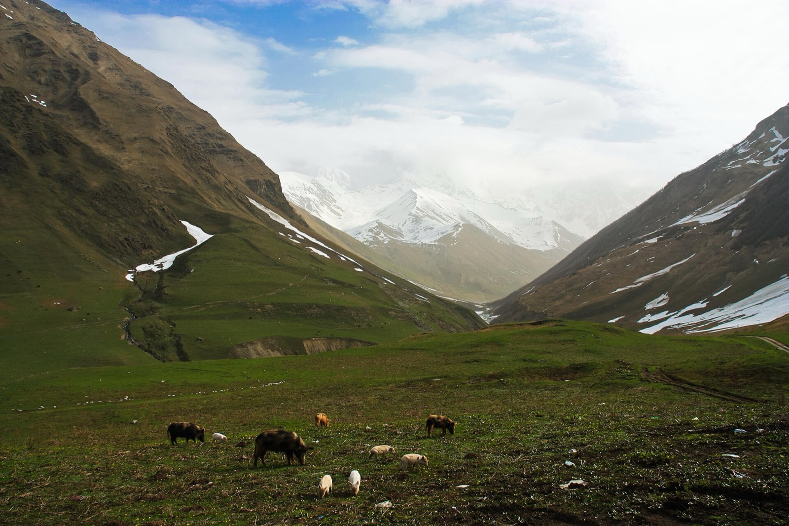 Mt Shkhara from Ushguli, Svaneti